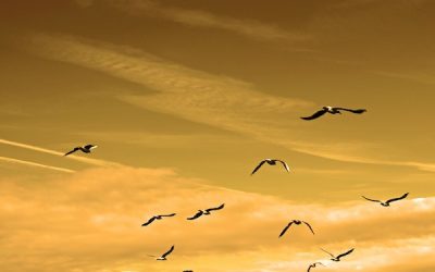 El respeto, el valor que crea valor